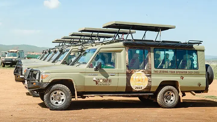 gosheni-safari-gallery2