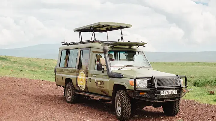 gosheni-safari-gallery3