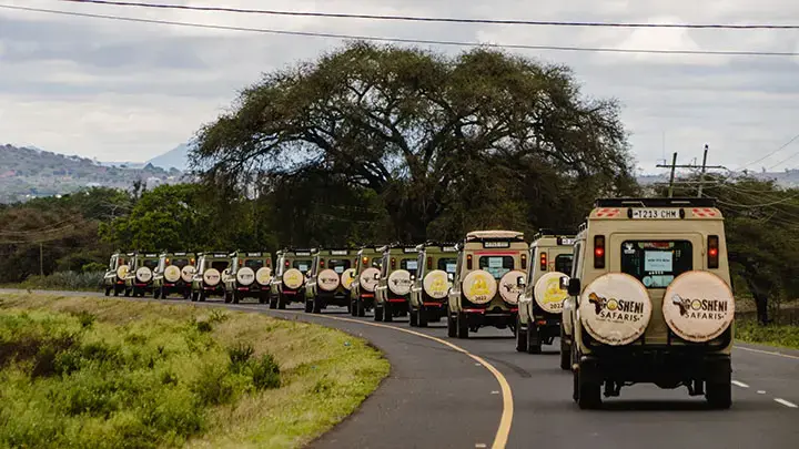 gosheni-safari-gallery7