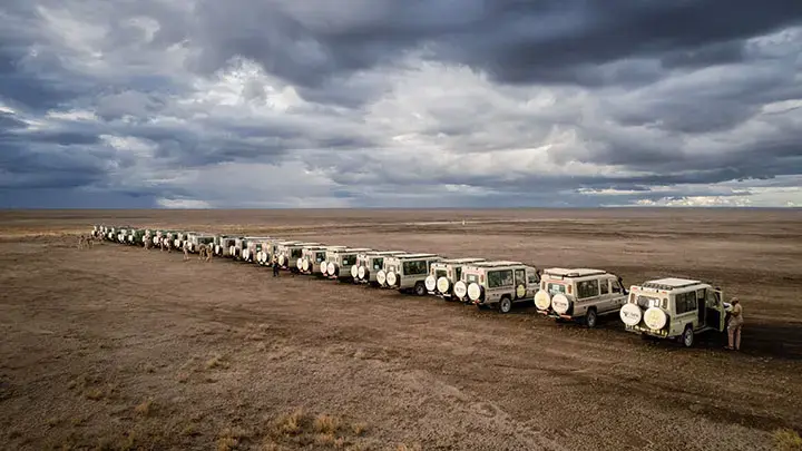 gosheni-safari-gallery9