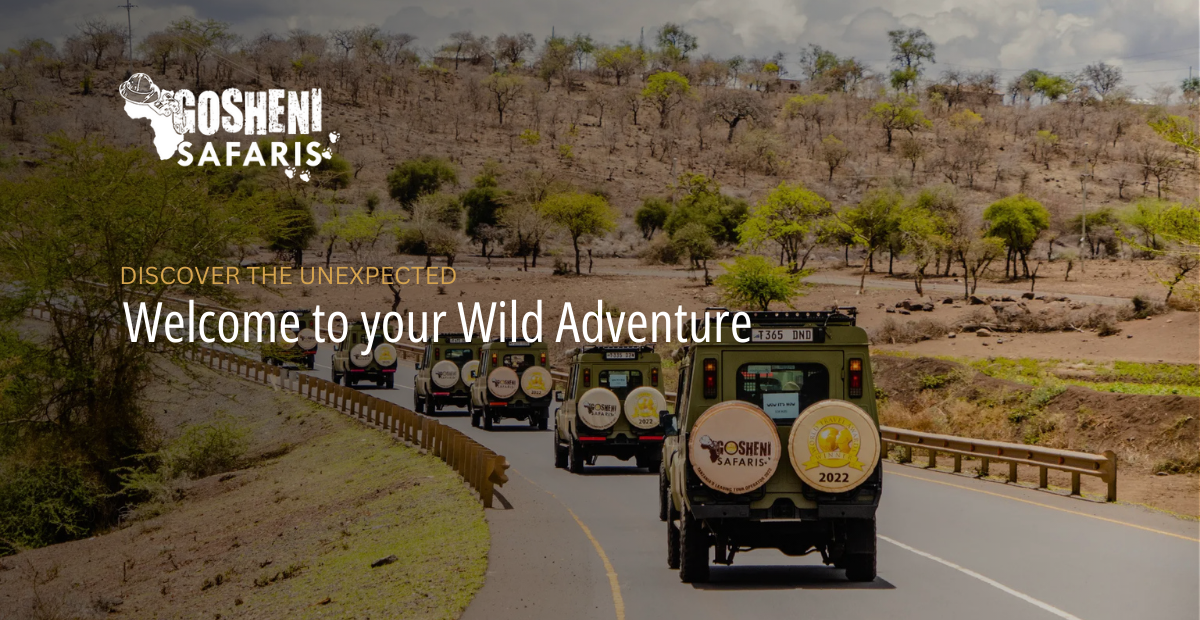 Gosheni Safaris Africa