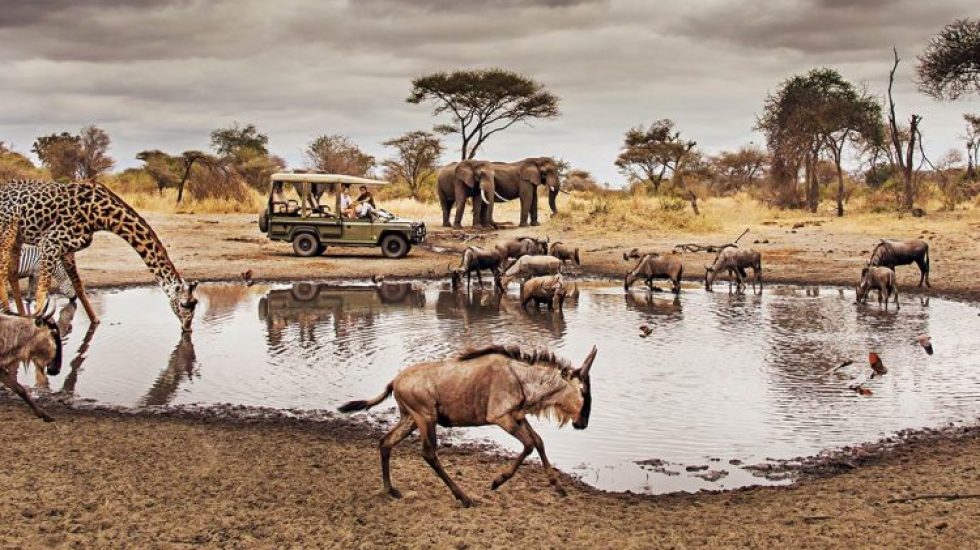 10-Facts-About-Serengeti-National-Park-750x450