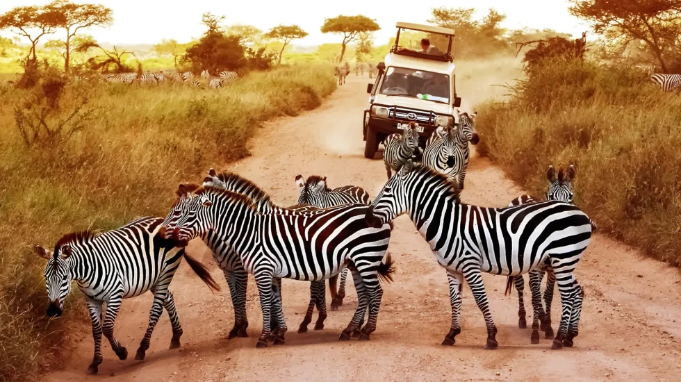 11 Days Explore Kenya Safari