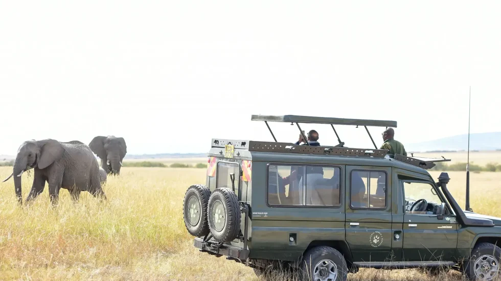 9 Days High End Road and Air Safari Kenya