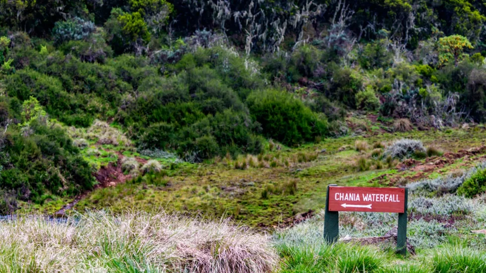 Aberdare National Park-1