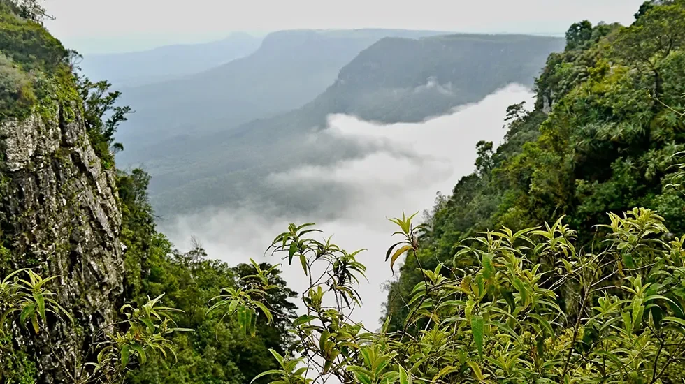 Blyde River Canyon Nature Reserve 3