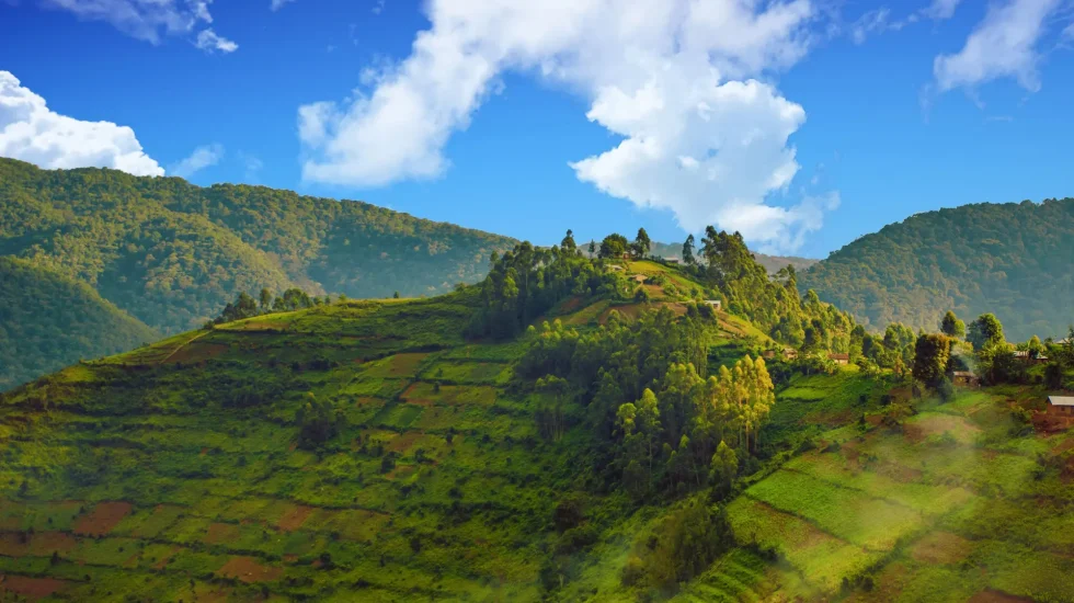 Bwindi-2