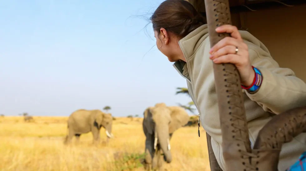 Experience Safari-26