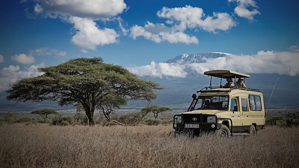 Game Drives at Amboseli 980 3