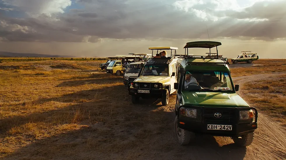 Game Drives at Amboseli 980