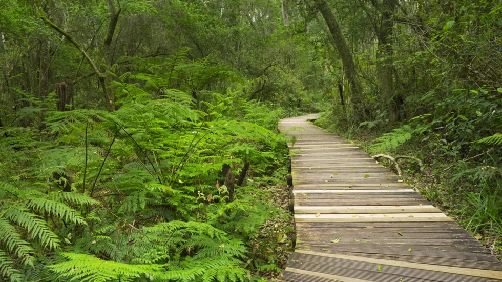 Garden Route National Park-1