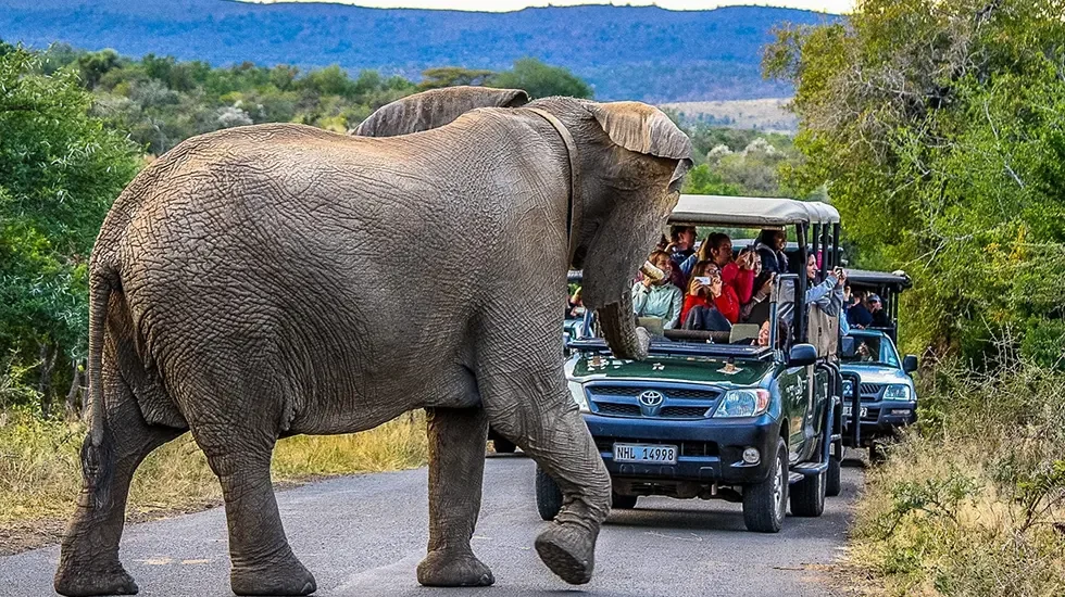 Hluhluwe Game Reserve 3
