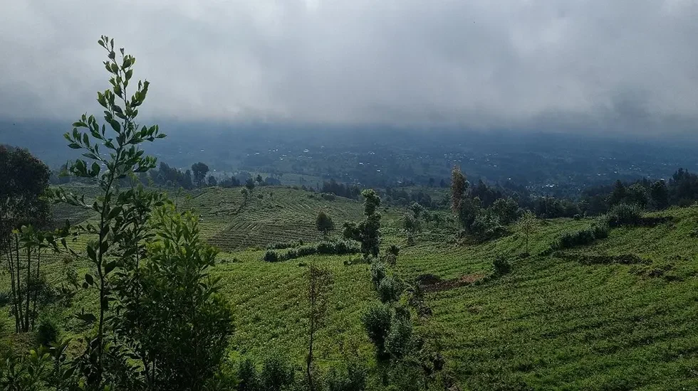 KARISOKE RESEARCH CENTER