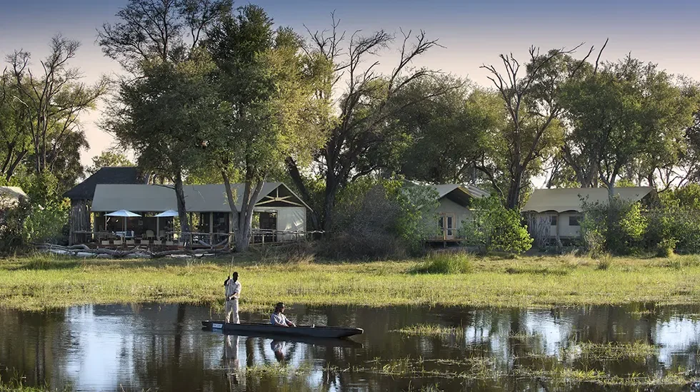 Khwai Concession (Okavango Delta, Botswana) pt2