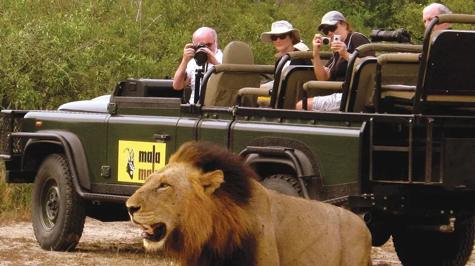 Kruger Game Drive