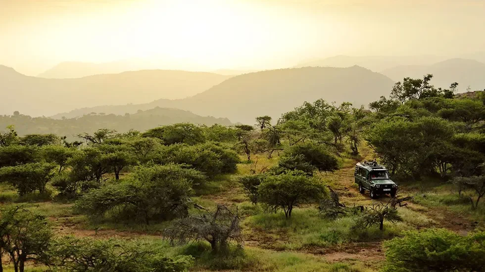 Laikipia 1