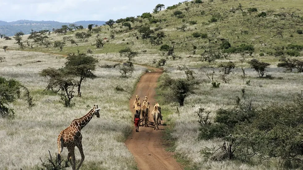 Laikipia 2