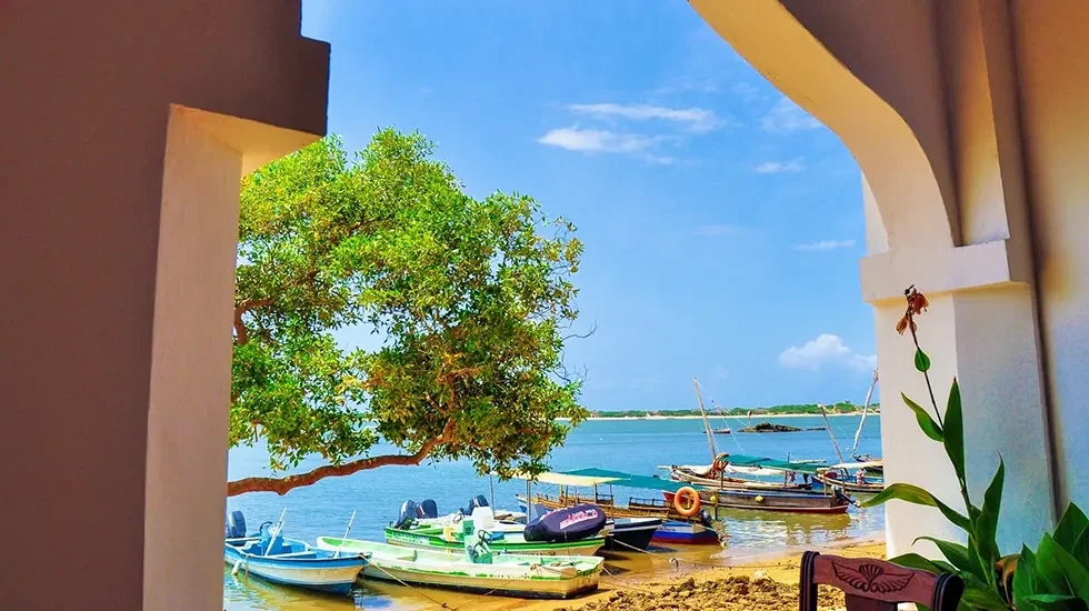 Lamu pt2-2