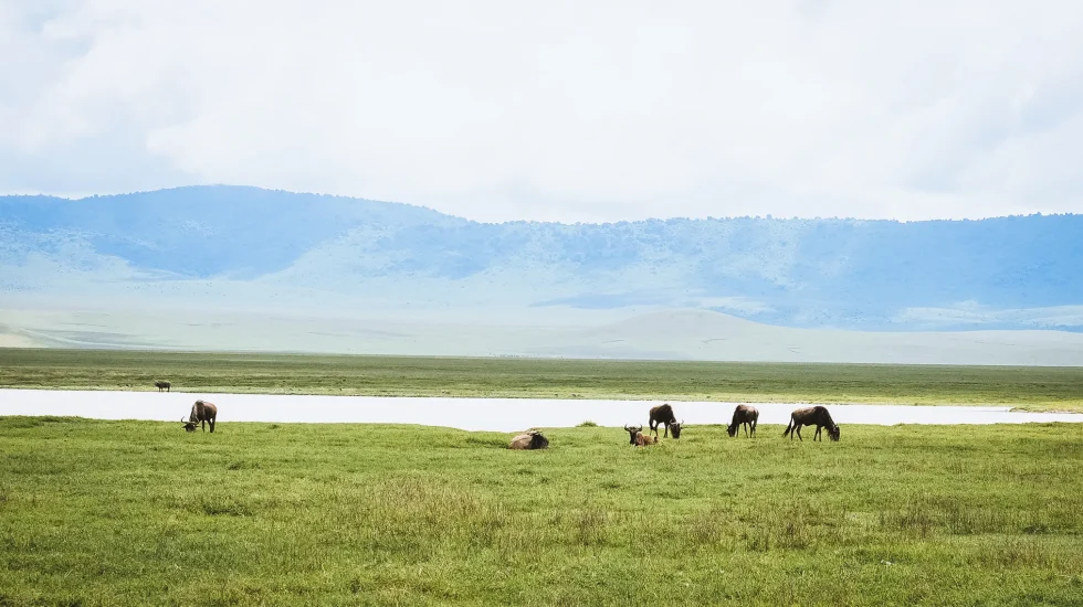 Masai Mara Reserve-Places to Visit bg