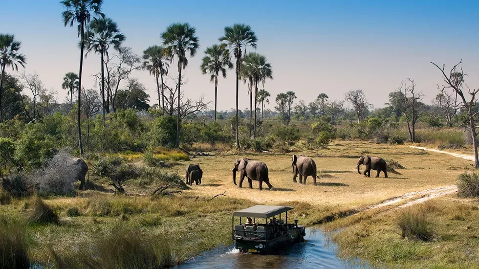 Maun Departure