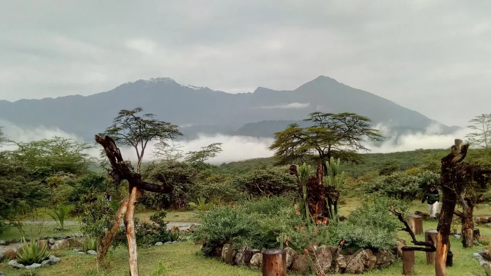 Meru National Park-4