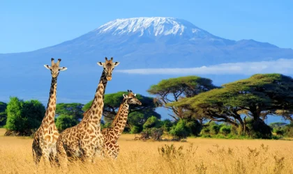 Mount Kilimanjaro-3