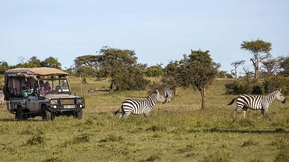 Ol Kinyei Conservancy 3