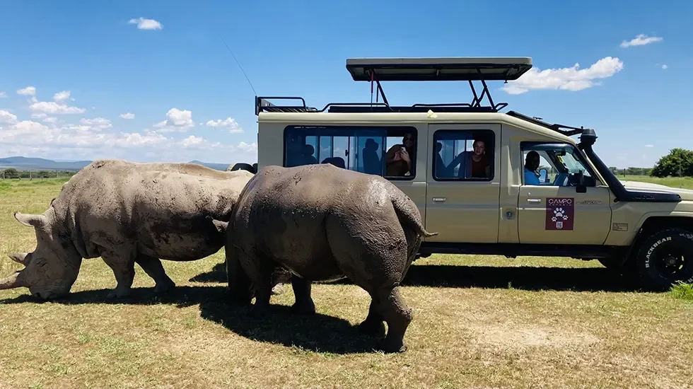 Ol Pejeta 980