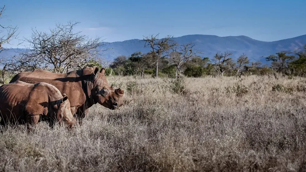 Rhino River Reserve 3