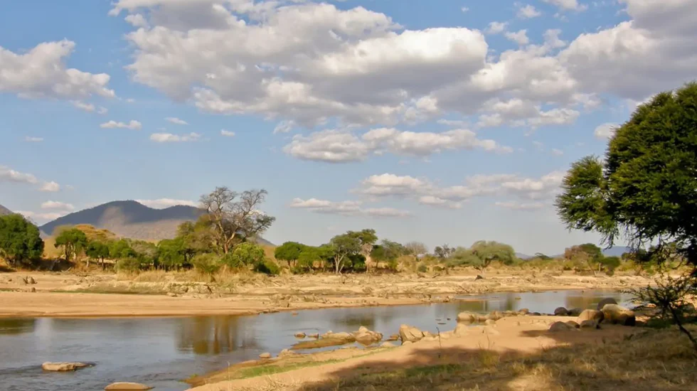 Ruaha National Park-5