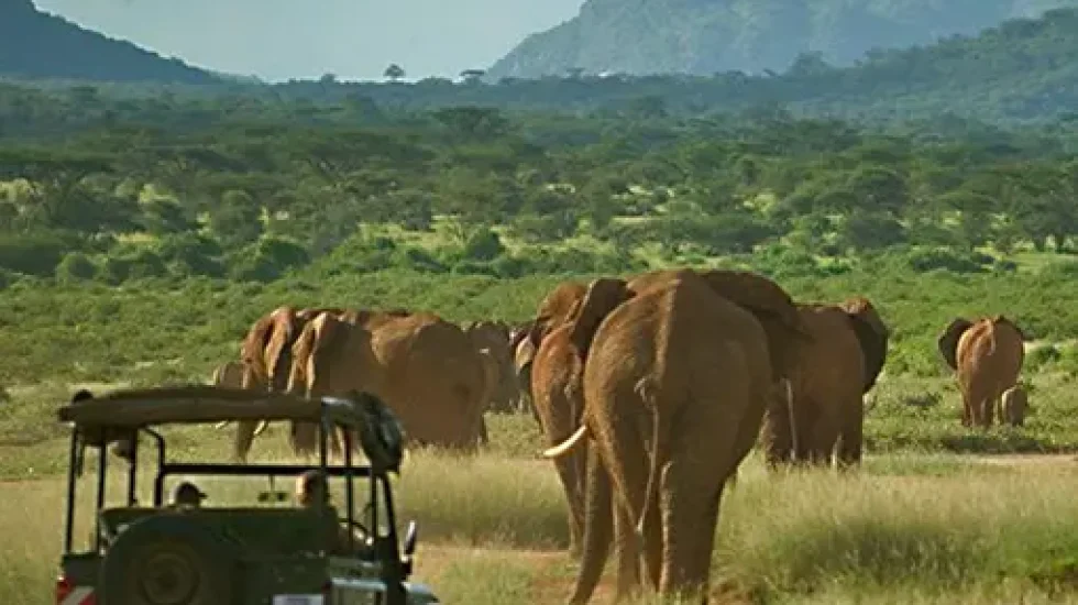 Samburu National Reserve 2