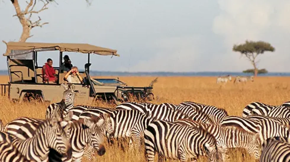 Samburu National Reserve pt2