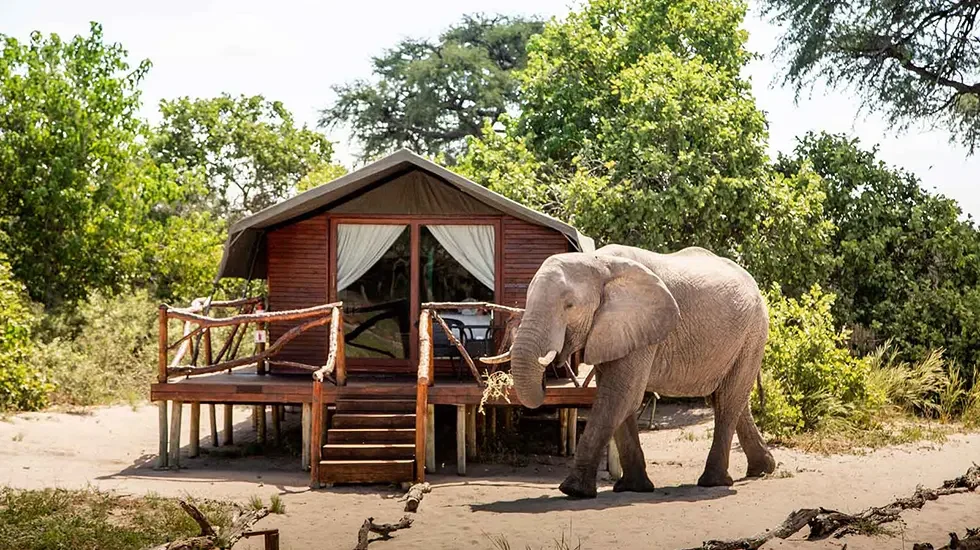 Savuti (Chobe NP, Botswana) 3
