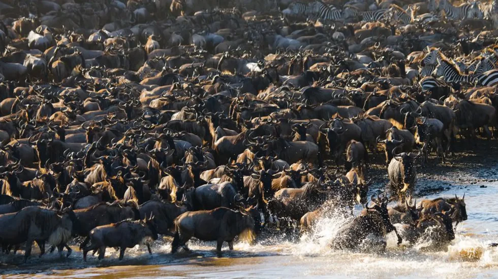 Serengeti National Park-9