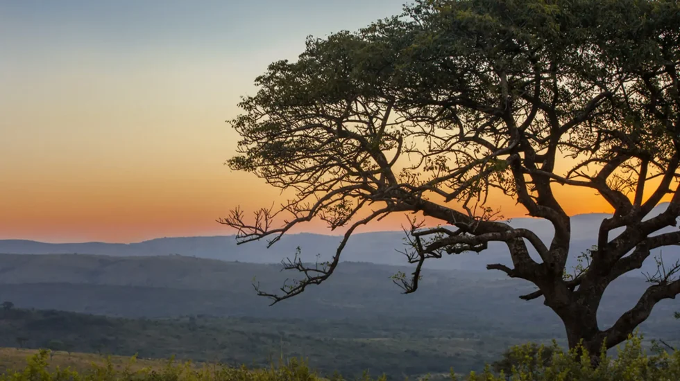 South Africa-11
