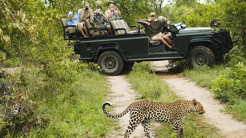 South Africa Departure 3