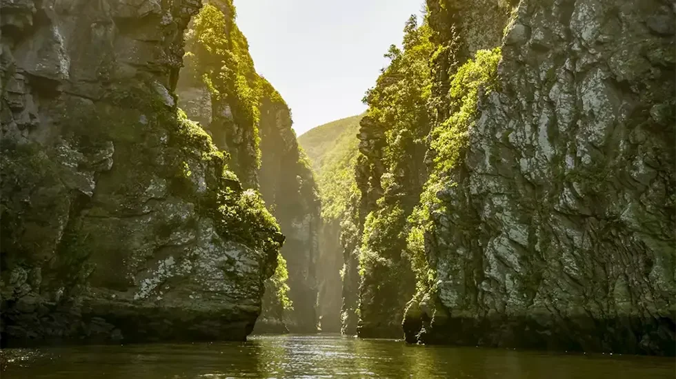 Strorms River, Tsitsikamma National Park 3