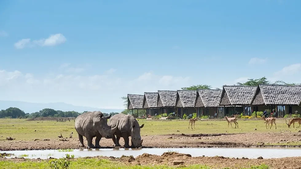 Sweetwaters Luxury Camp 3