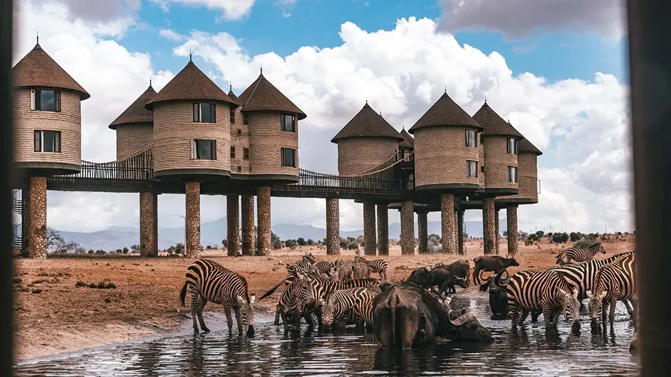 Taita Hills Sanctuary