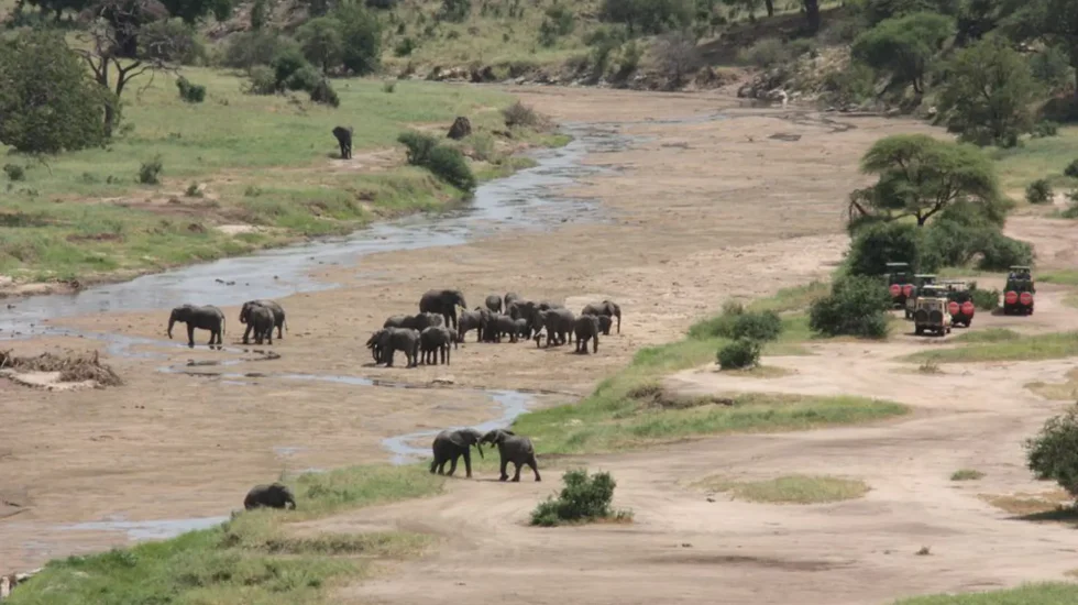 Tarangire National Park-3