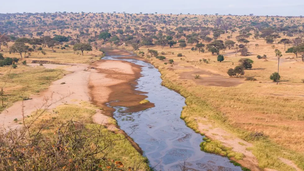 Tarangire National Park-6