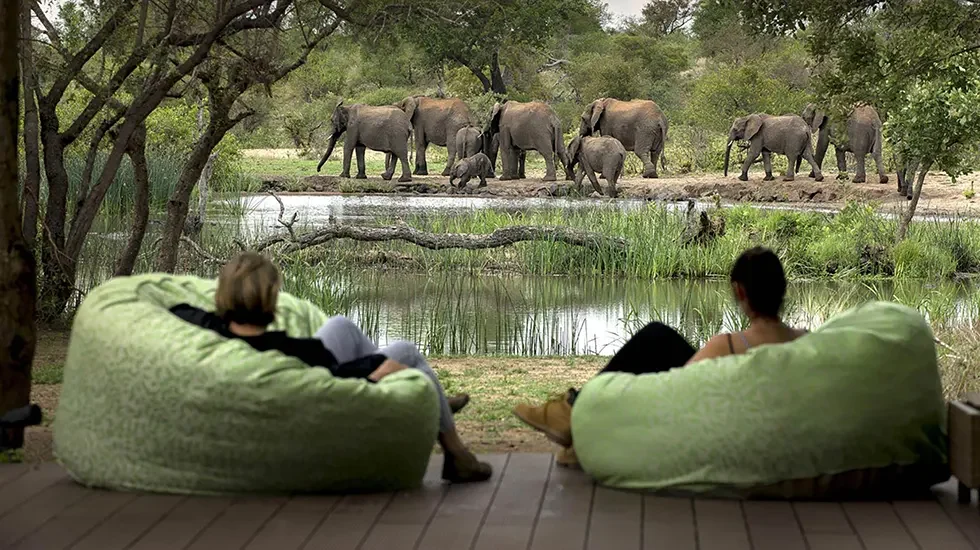 Timbavati Game Reserve 2