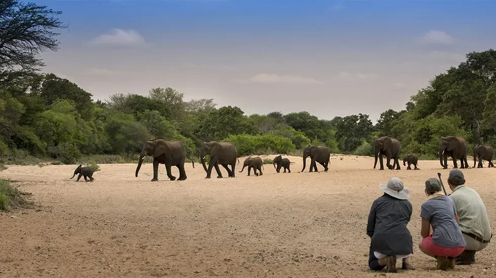 Timbavati Game Reserve pt2-2