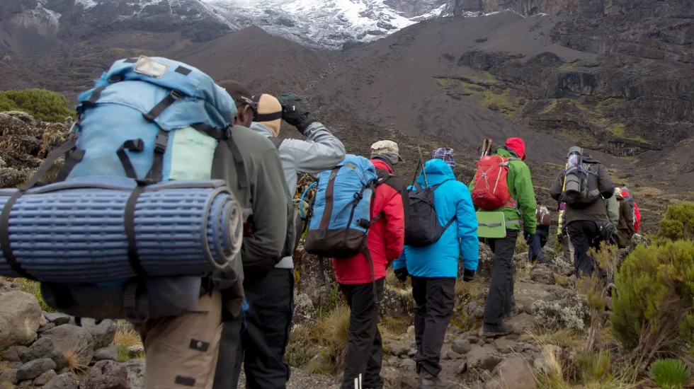 Track on Kilimanjaro on the Machame Route Whiskey. African Overland