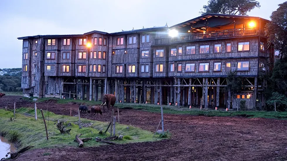 Treetops Hotel 2