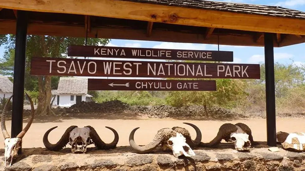 Tsavo West National Park 2