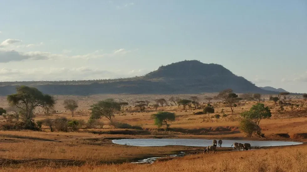 Tsavo West National Park