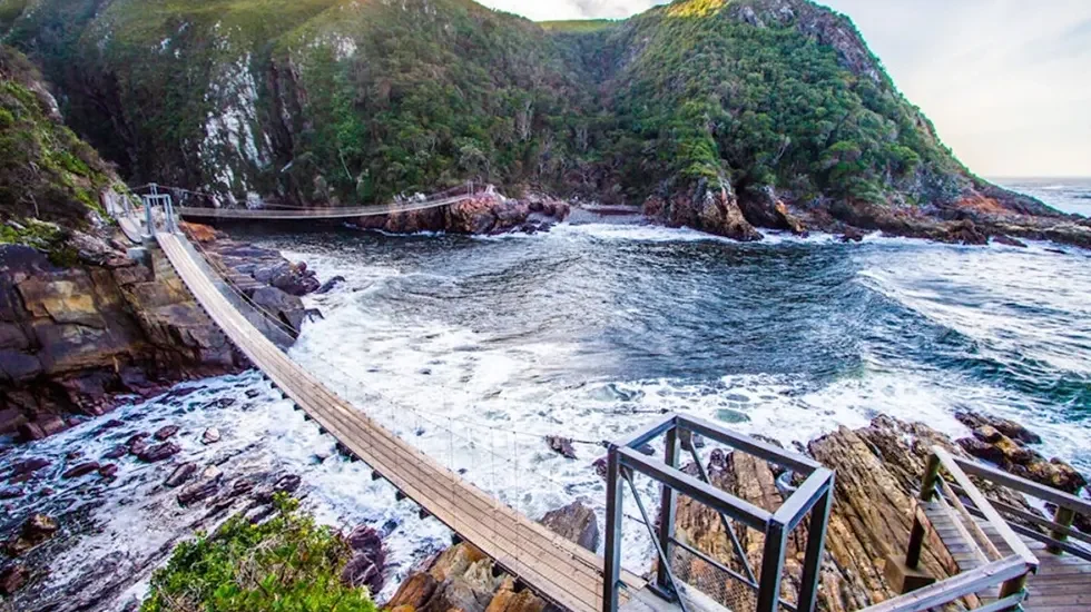 Tsitsikamma to Addo National Park