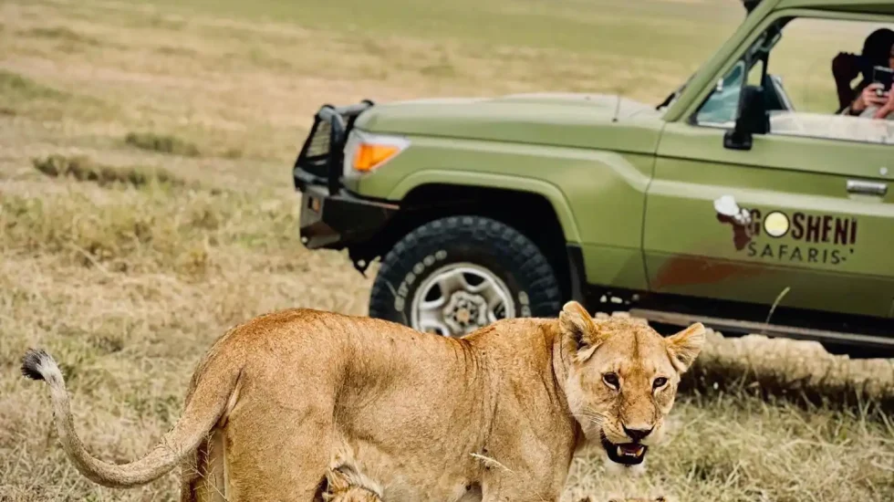 WhatsApp Image 2025-07-07 at 17.31.57_5803df55