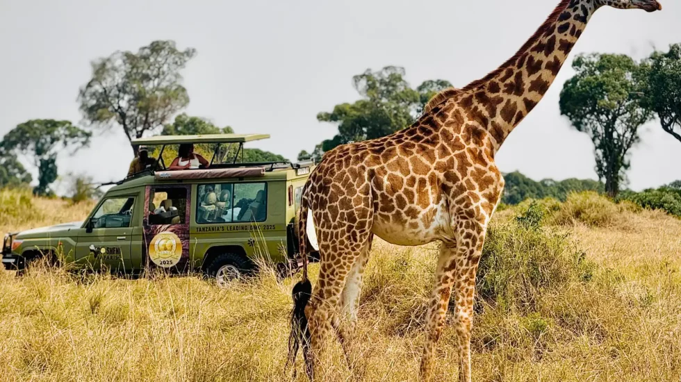 WhatsApp Image 2025-07-29 at 22.57.10_938c6184